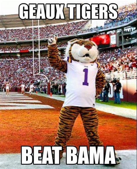 Pin by DRUNKEN CHEF on GEAUX LSU TIGERS | Lsu football, Lsu babies, Lsu