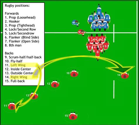 Rugby positions overview