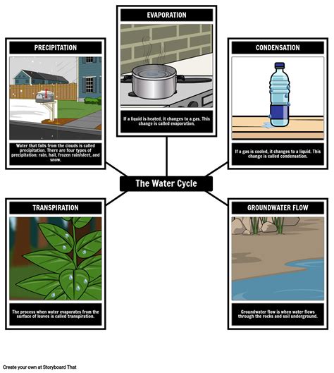 Water Cycle Vocabulary Activity on Storyboard That