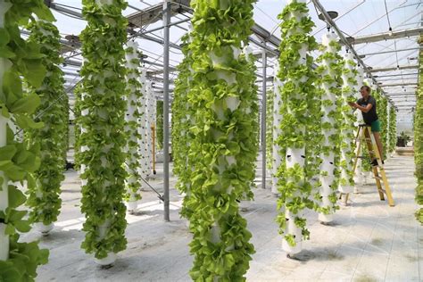 Vertical Hydroponic Tower Aeroponic Growing Systems - Buy Hydroponic Growing Systems,Growing ...