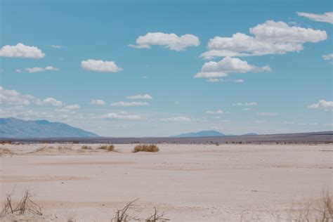 Desert Cactus Background Photos, Download Free Desert Cactus Background ...