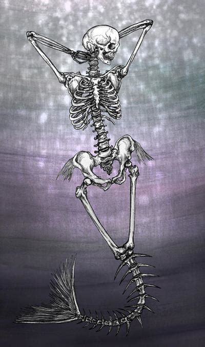 Mermaid Skeleton by kaleidoscopickle on DeviantArt