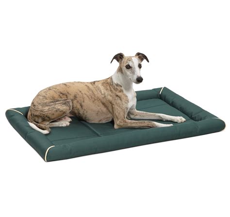 MidWest Ultra-Durable Dog Bed & Crate Mat, 36", Green - Walmart.com - Walmart.com