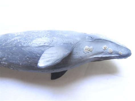 Gray Whale Schleich Gray Whale Animal Gray Whale Toy | Etsy