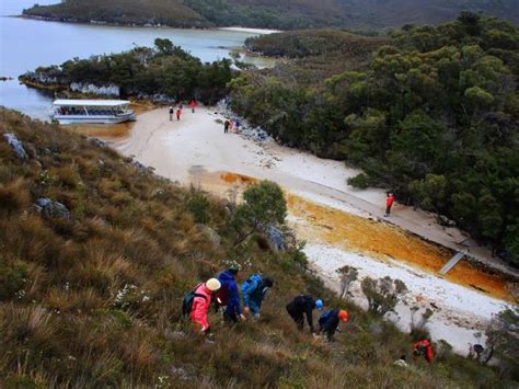 Tasmania coastal cruise | Responsible Travel