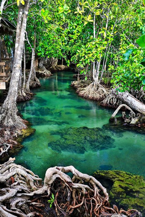 The Emerald Stream | Thailand travel, Places to travel, Krabi thailand