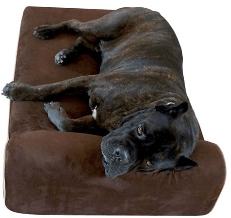 Big Barker vs Bully Bed: Find a Comfortable Place To Sleep Here - K9 Rocks