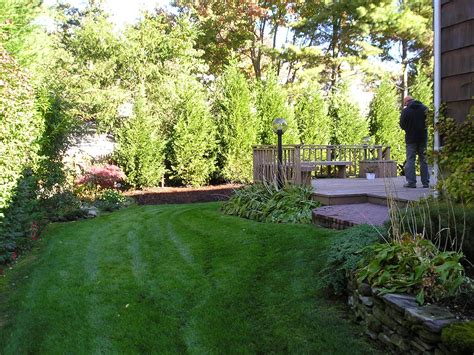 backyard privacy - Google Images | Backyard privacy, Privacy landscaping, Backyard landscaping