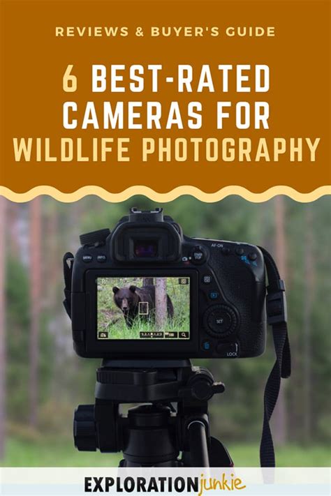 What To Look For In A Camera for Wildlife Photography?