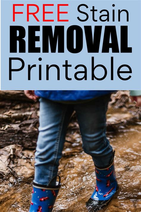 FREE Stain Removal Printable, Tips and Tricks - Cut the Grime