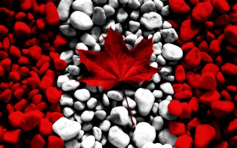 Central Wallpaper: Awesome Canada Flag Designs HD Wallpapers