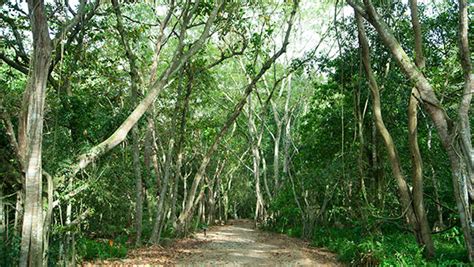 Kuala Selangor Nature Park – Visit Selangor