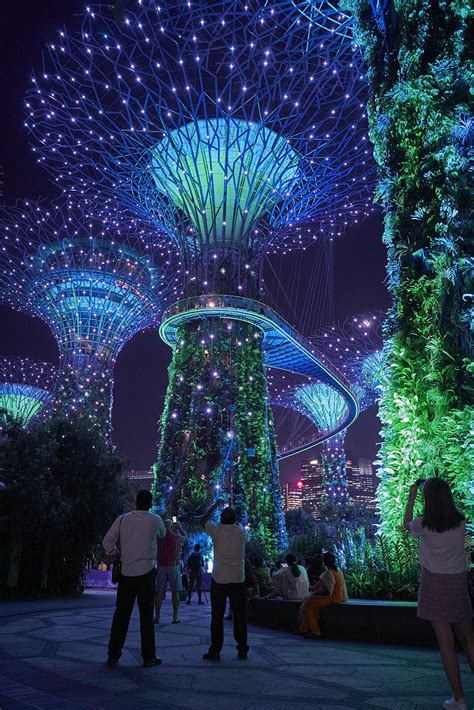 ArtStation - Cloud Forest Night - Gardens By The Bay - Singapore ...