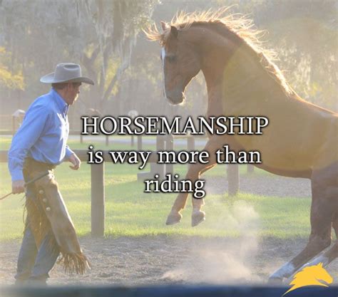 Pin on Horse Quotes