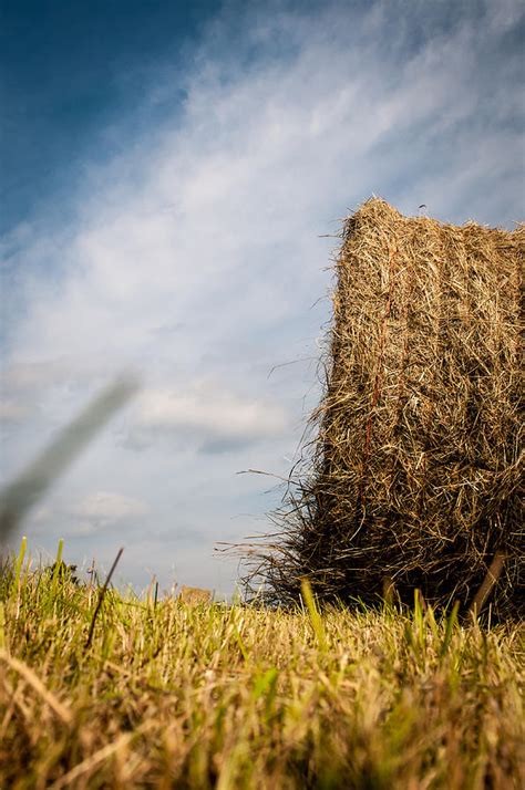 Hay Bail in Field Close Photograph by Mary Ellen Oloughlin - Fine Art ...