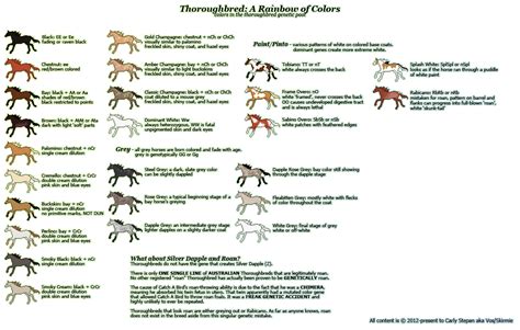 the horse color chart is shown with different horses in it's colors and their names