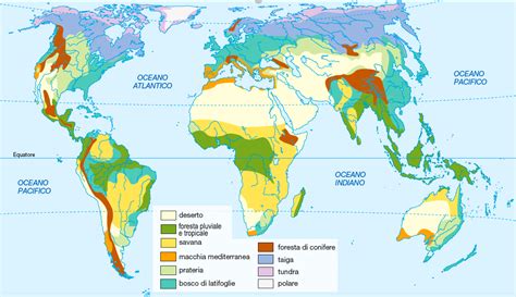 Geofacile #07 - I biomi | Articoli | DLive Geografia