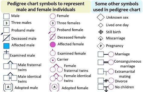 Genetic Pedigree Symbols