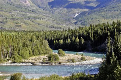 Image result for yukon forest | Canada beaches, Canada travel, Kluane ...