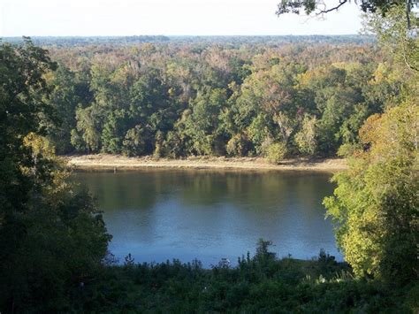 Earthjustice Files Appeal to Protect Apalachicola River | Earthjustice