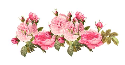 Flower png tumblr, Flower png tumblr Transparent FREE for download on WebStockReview 2024