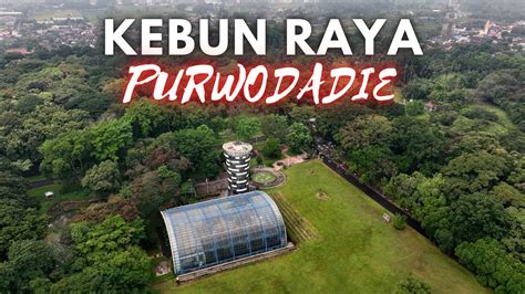 Kebun RAYA PURWODADI - Rekomendasi wisata Keluarga - YouTube