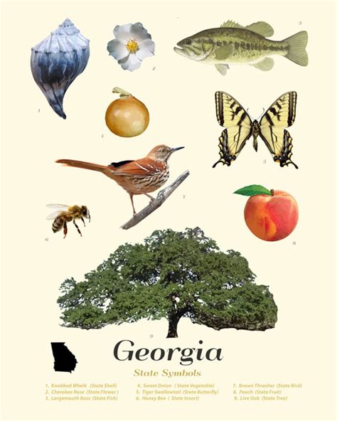 Georgia State Symbols Typology Georgia Art Georgia Poster | Etsy