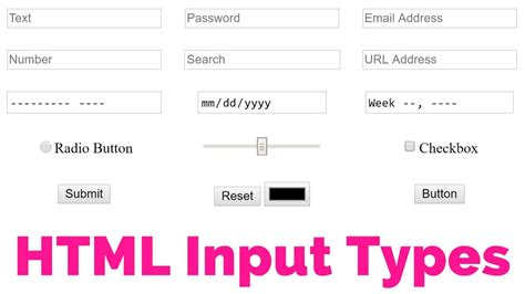 Basic Forms Html Form Html Input Types Input Element Text Field Hot | sexiezpix Web Porn