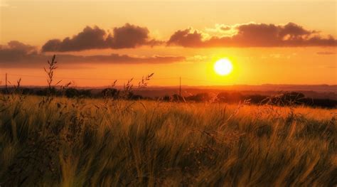 Hintergrundbilder : Sonnenlicht, Landschaft, Sonnenuntergang, Meer, Natur, Sand, Gras, Himmel ...