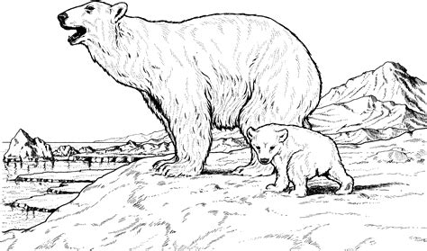 polar bear cubs coloring pages - Clip Art Library