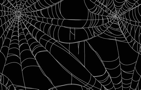 Spider Web Background 3107462 Vector Art at Vecteezy