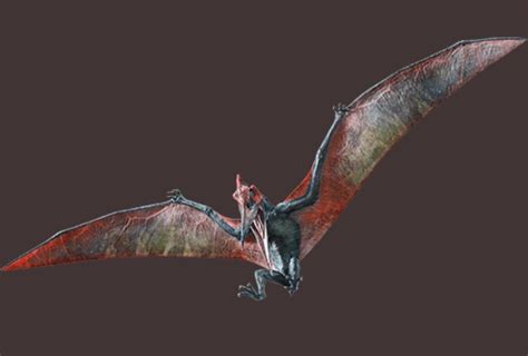 Jurassic World Fallen Kingdom full photo of the Pteranodon | Parque jurásico, Dinosaurios ...