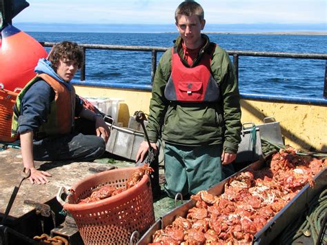 Island farming in the Falkland Islands: Crabbing equipment, hens lips and bird