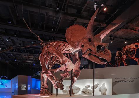 The Houston Museum of Natural Science (HMNS) - SilverKris