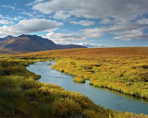 North Klondike River Flowing Photograph by Tim Fitzharris