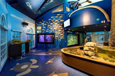 Cloward H2O revitalises the historic Manhattan Beach Aquarium | Blooloop