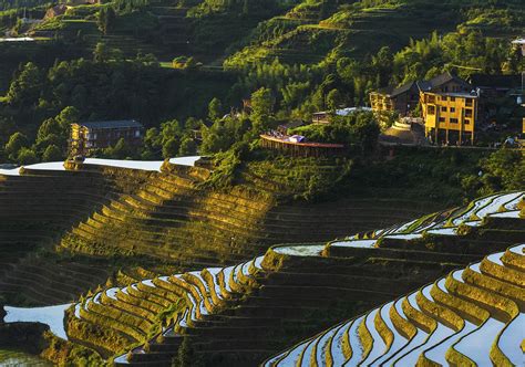 Longji Rice Terraces | China & Asia Cultural Travel