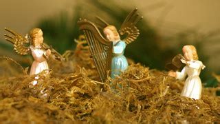 Angels We Have Heard on High | The angels proclaimed to the … | Flickr