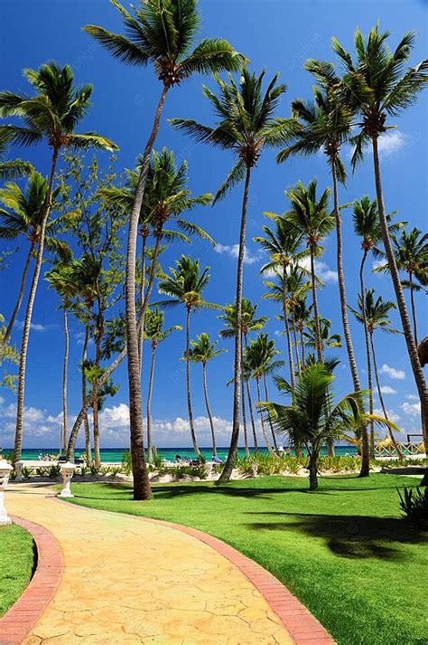 Tropical Resort Grounds Relaxing Resort Photo Background And Picture ...