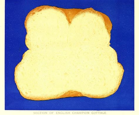 The Book of Bread (1903) – The Public Domain Review