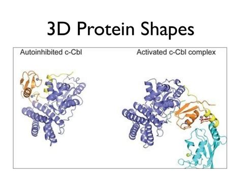 Chaperone Proteins