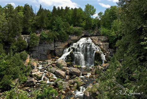 The Buckeye Botanist: The Bruce Peninsula Part V: Rare Ferns and an ...