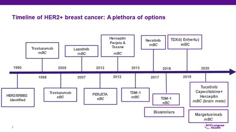 The Brightening Outlook for Patients with HER2+ Breast Cancer | Maurer Foundation