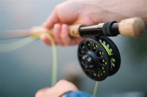 Fish & Fishing – The Rod Rut - Coastal Angler & The Angler Magazine