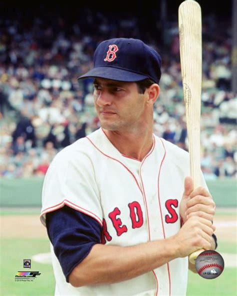 Carl Yastrzemski 1967 Posed Photo Print - Walmart.com