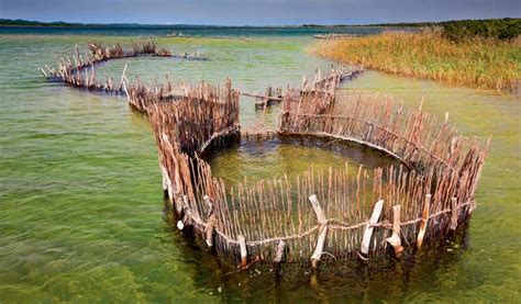 The traditional Thongan fish traps of Kosi Bay have been used for more ...