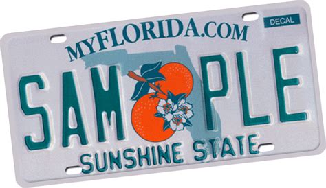 Lost Motorcycle License Plate Florida | Reviewmotors.co