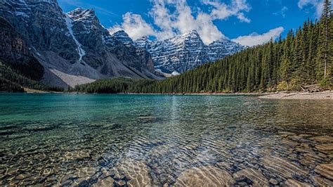 Lago limpio, cordillera, arboles, 2560X1440 Naturaleza fondo de ...