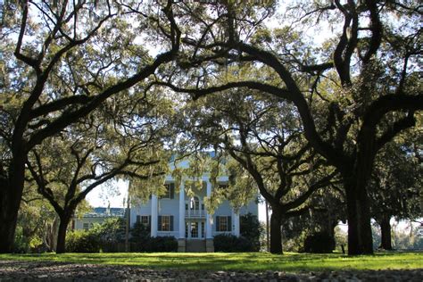 Charleston Plantations Showcase Storied Past - Things to Do in ...