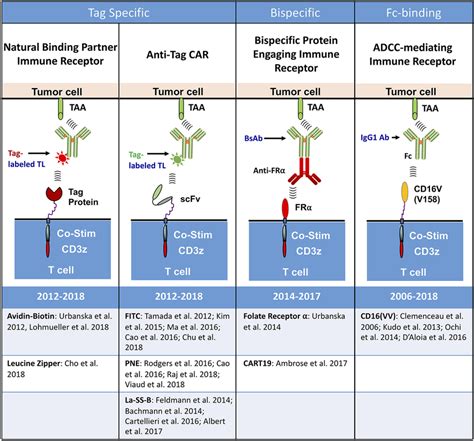 | Types of universal immune receptor platforms. The bridging of ...